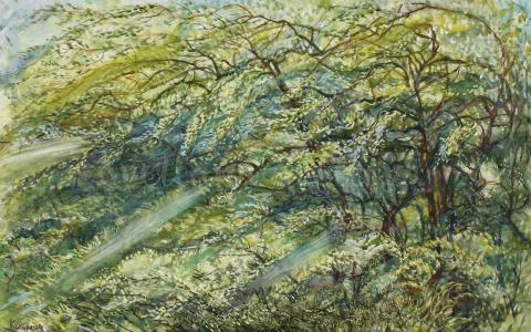 картина ветер лес деревья живопись акварель пейзаж