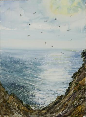 картина пейзаж море чайки полдень