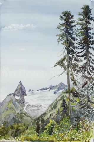 картина акварель пейзаж сосны горы лето
